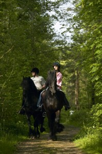 Horse back riding in Ireland